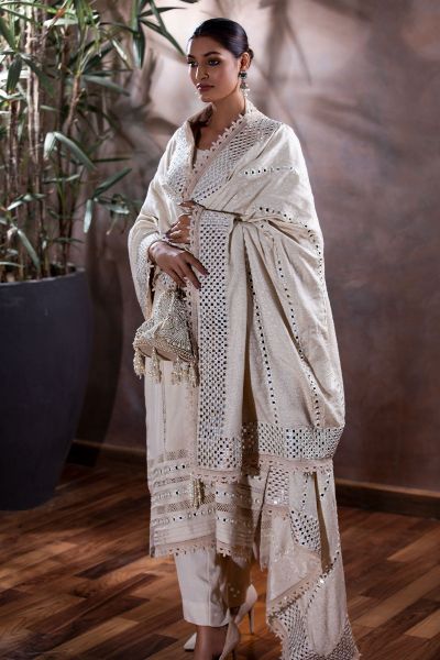 Picture of Mirror Work Shawl on Karandi Silk
